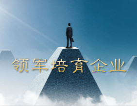 2020年天津市科技領軍(培育)企業(yè)